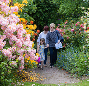 Image shows three generations of the same family enjoying the colours of the Dorothy Clive Garden, Newcastle-under-Lyme, Staffordshire